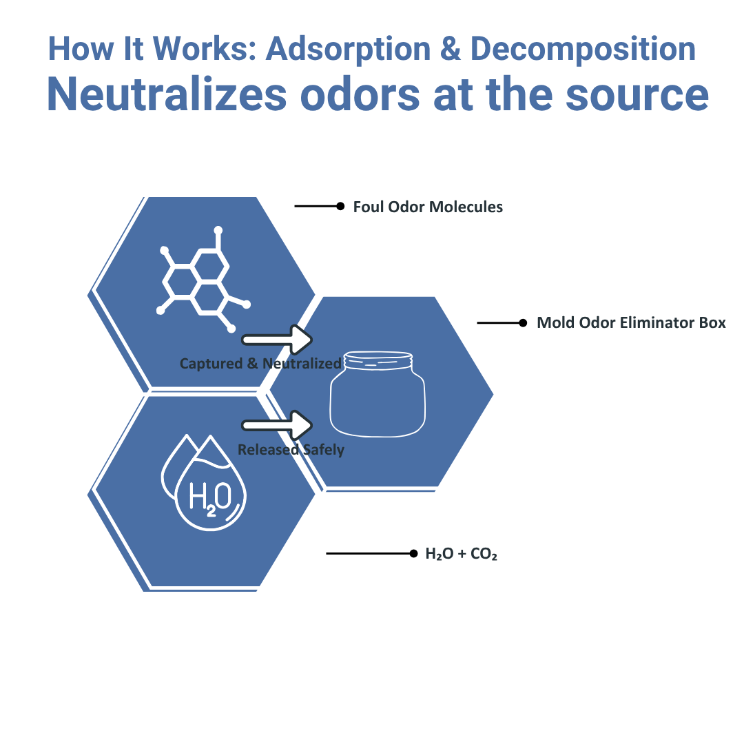 Dolpure Odor Eliminator Box - Molecular Odor Decomposer for Shoes, Car & Home | Breaks Down Smells, Doesn't Mask (180g, 90 Days)