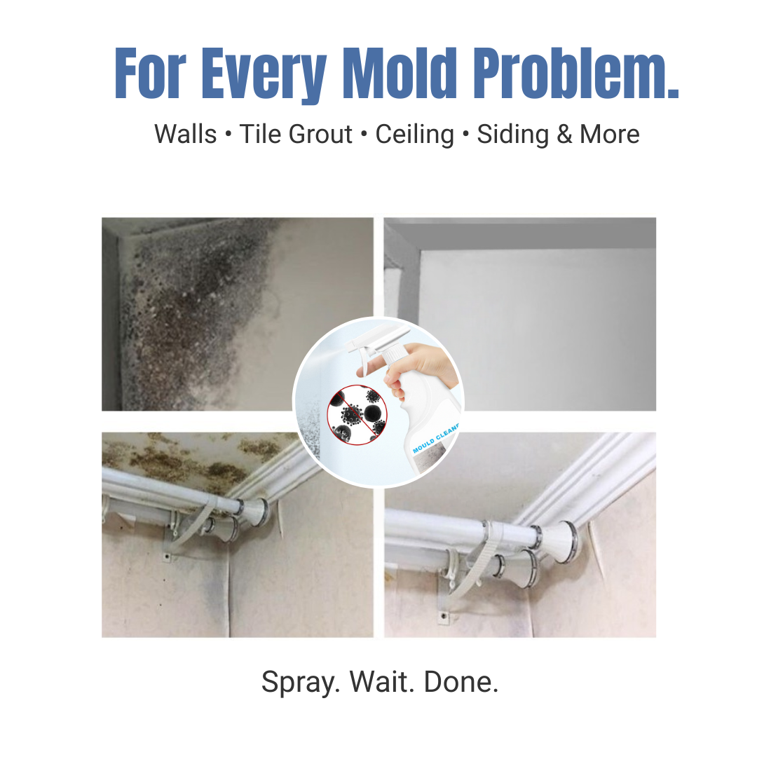 Dolpure Mold & Mildew Remover Spray - Professional Strength Cleaner for Bathroom, Wall, Tile & Grout | With Natural Lysozyme | No Scrubbing Needed, 500ml