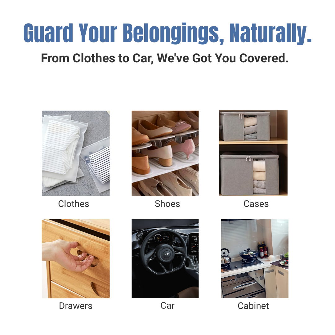 Dolpure Mini Bamboo Charcoal Air Purifying Bags, 20 Pack (3.5"x3.5") - Compact Odor Eliminators for Shoes, Drawers, Cars & Tight Spaces