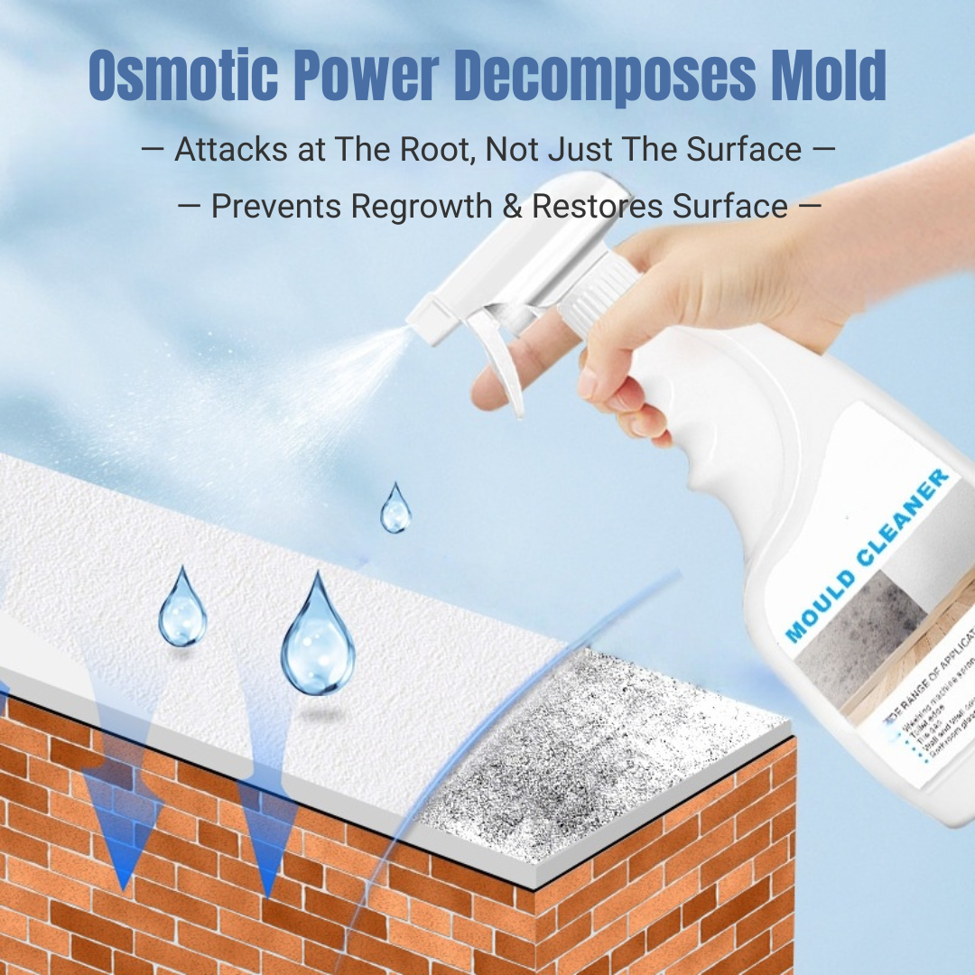 Dolpure Mold & Mildew Remover Spray - Professional Strength Cleaner for Bathroom, Wall, Tile & Grout | With Natural Lysozyme | No Scrubbing Needed, 500ml