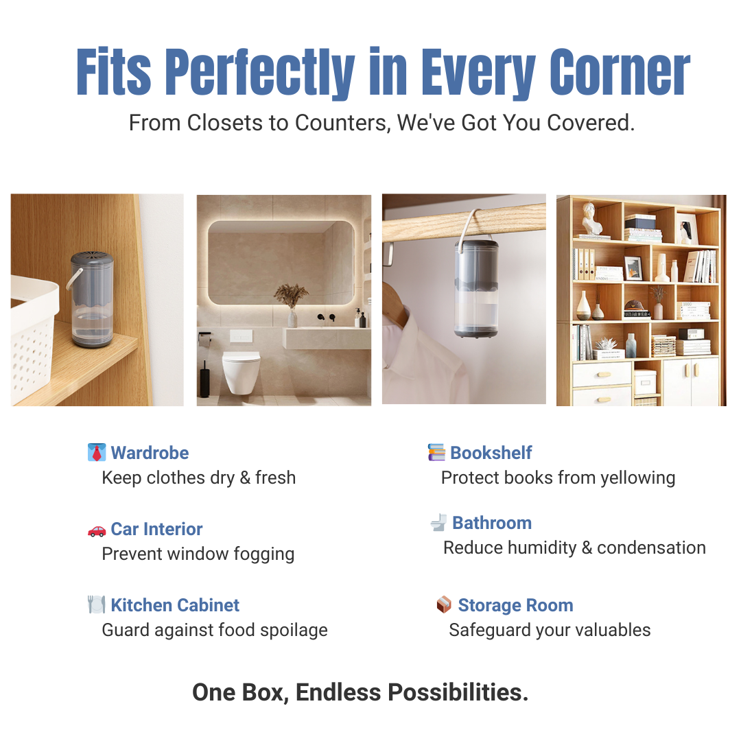 Dolpure | 2-in-1 Hanging Dehumidifier Box | Absorbs Moisture, Prevents Mold