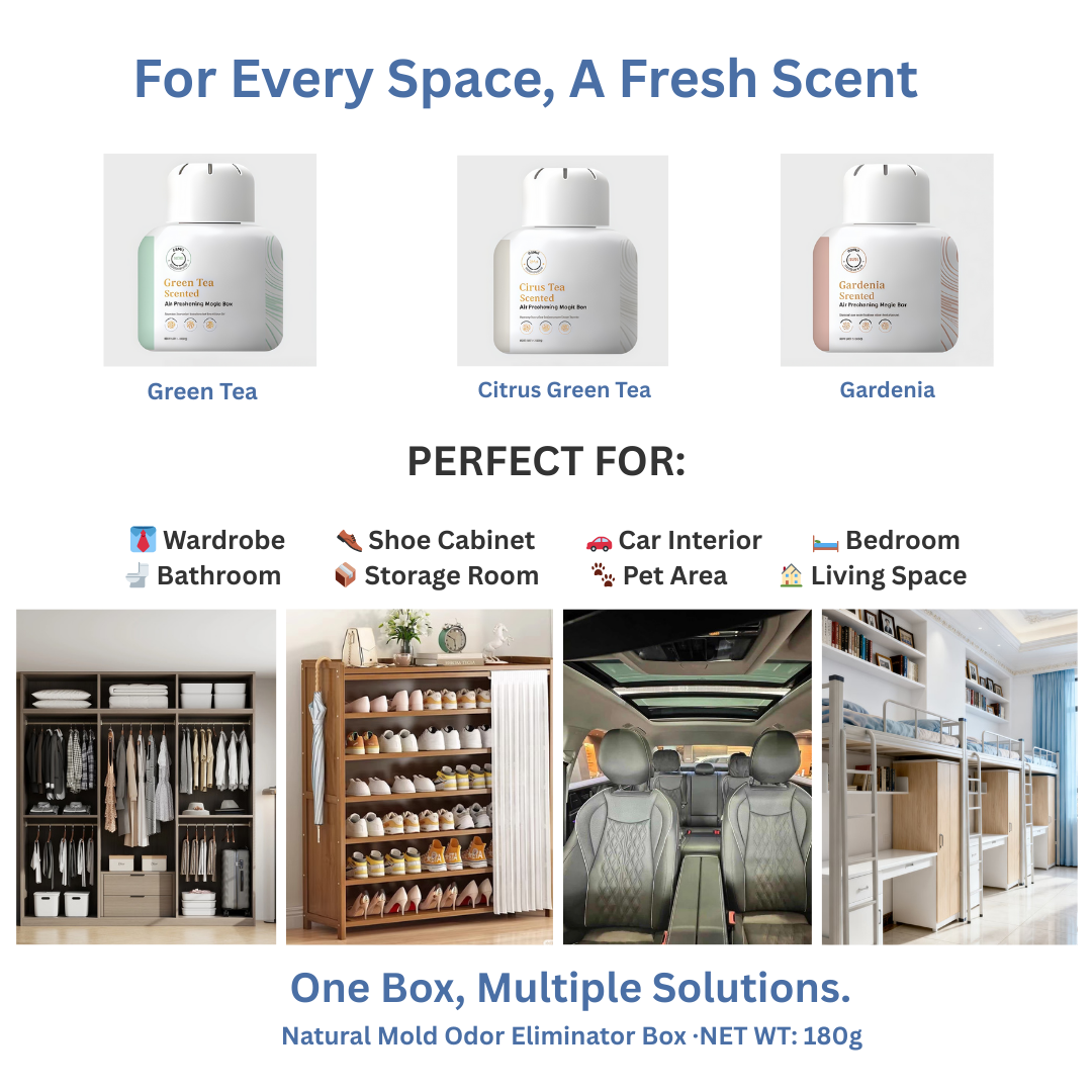 Dolpure Odor Eliminator Box - Molecular Odor Decomposer for Shoes, Car & Home | Breaks Down Smells, Doesn't Mask (180g, 90 Days)